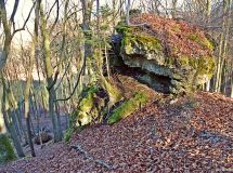15  Katzenstein